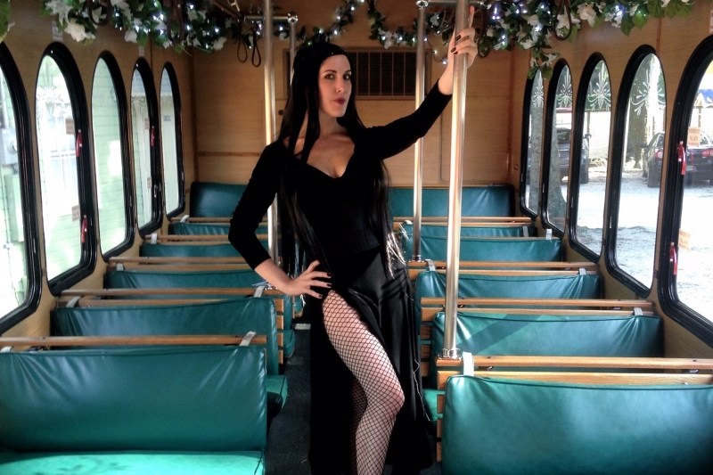 Sarafina-on-Trolley-CROPPED_800x533_IMG_2495-2 Sarafina-on-Trolley-CROPPED_800x533_IMG_2495-2