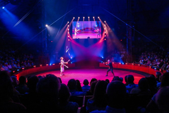 Two performers juggle in a colorful circus arena with a large audience.