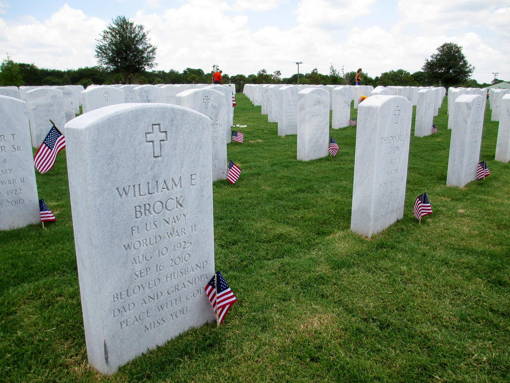 Veterans & Vigilantes Image 6