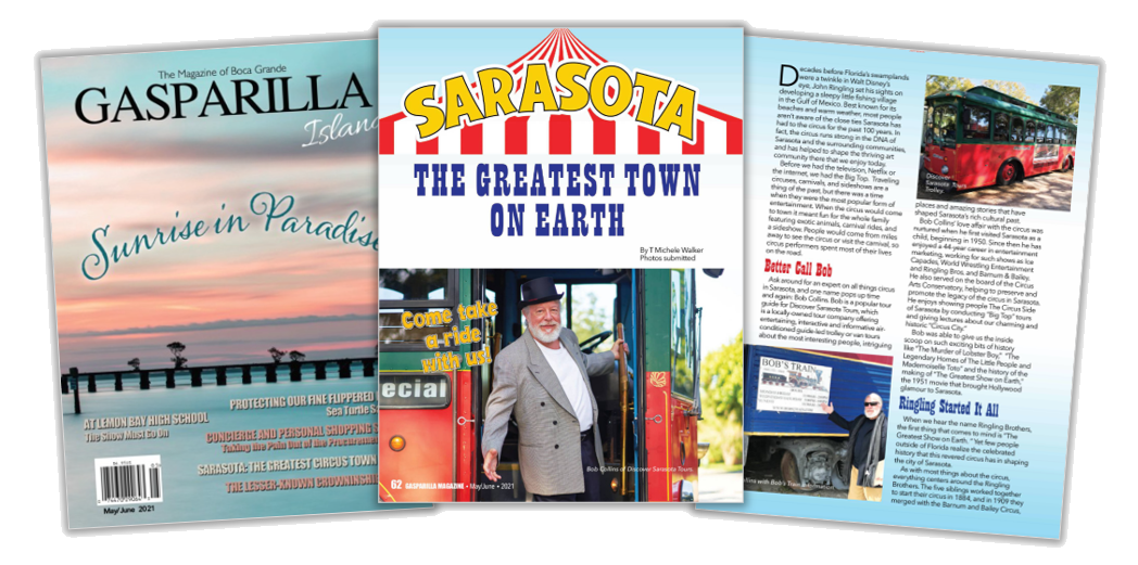 graphical user interface, website