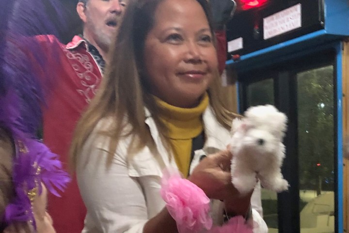 Woman holding fluffy white toy dog with pink accents on a bus or trolley.