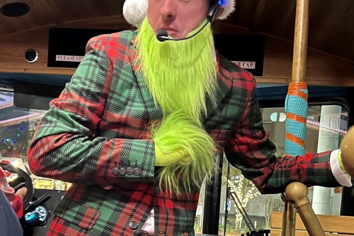 a person wearing a costume