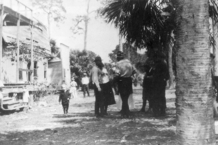 a group of people walking down a street next to a tree