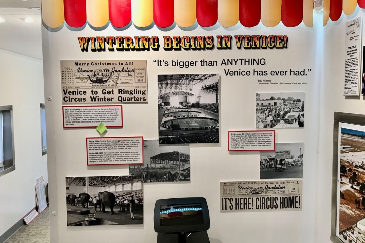 a bunch of different items that are on display