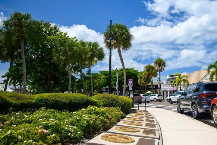a car is lined up in a garden