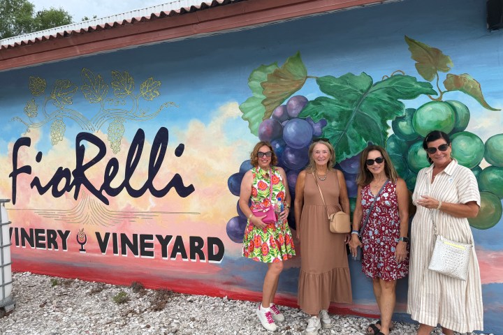 Four women standing in front of a colorful vineyard mural.