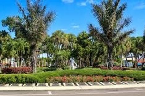 Palm trees and greenery in a sunny park with a clear blue sky.