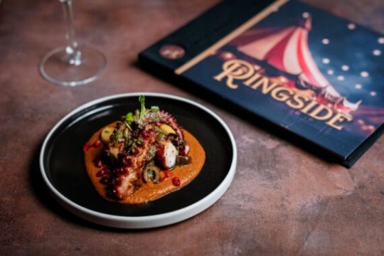 Grilled octopus on sauce with vegetables, beside a circusthemed book and wine glass.